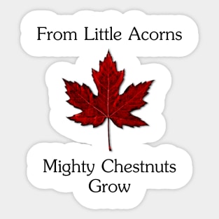 From Little Acorns Two Sticker